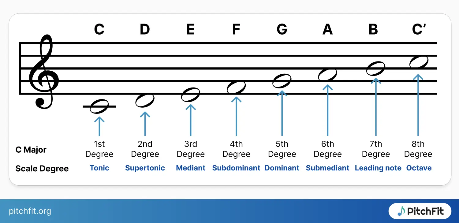 scale degrees and their names in C major